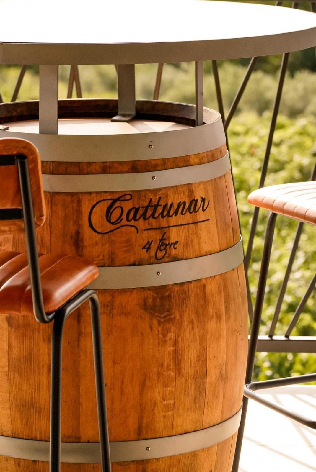 Wine Residence Cattunar Brtonigla Dış mekan fotoğraf