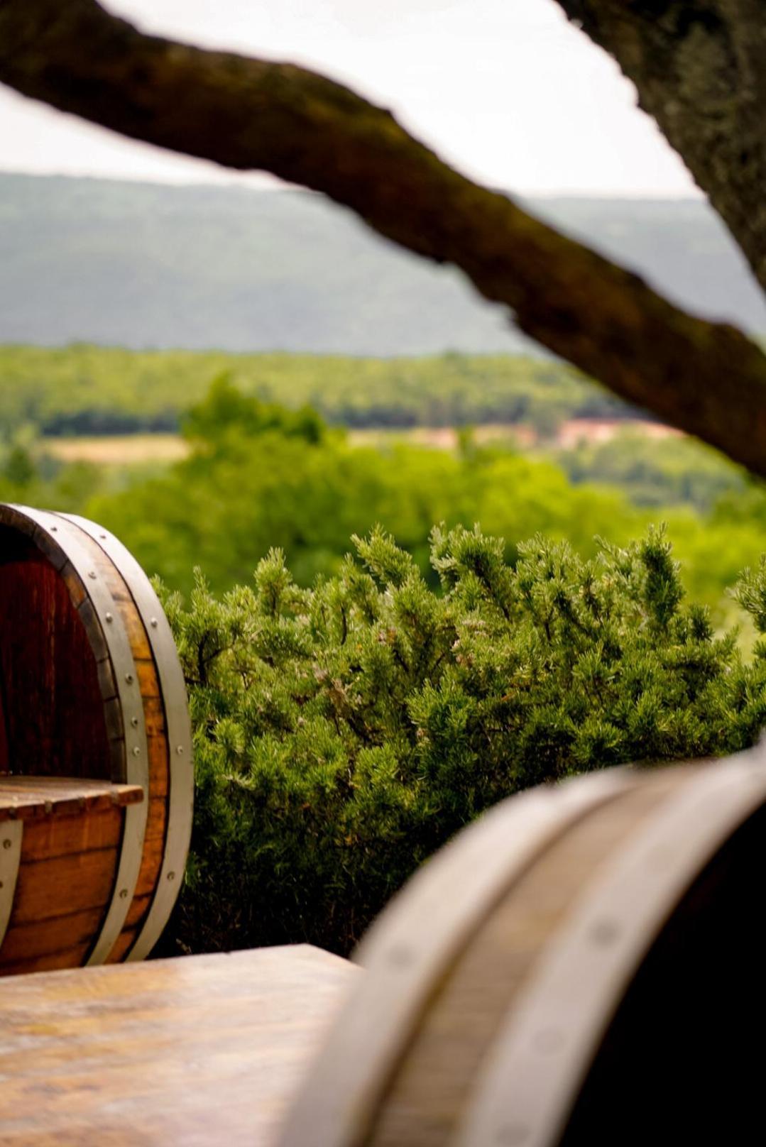 Wine Residence Cattunar Brtonigla Dış mekan fotoğraf