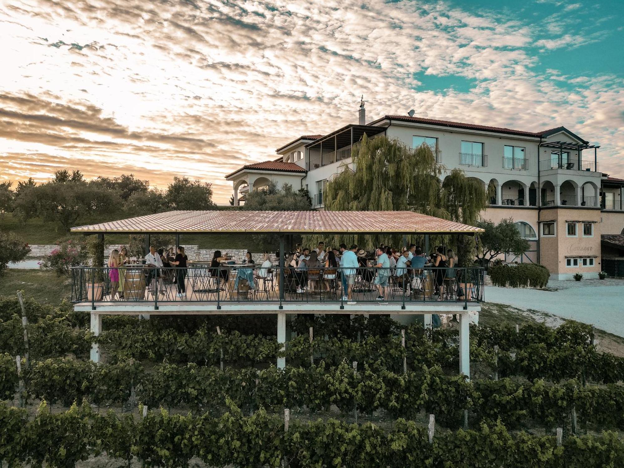 Wine Residence Cattunar Brtonigla Dış mekan fotoğraf