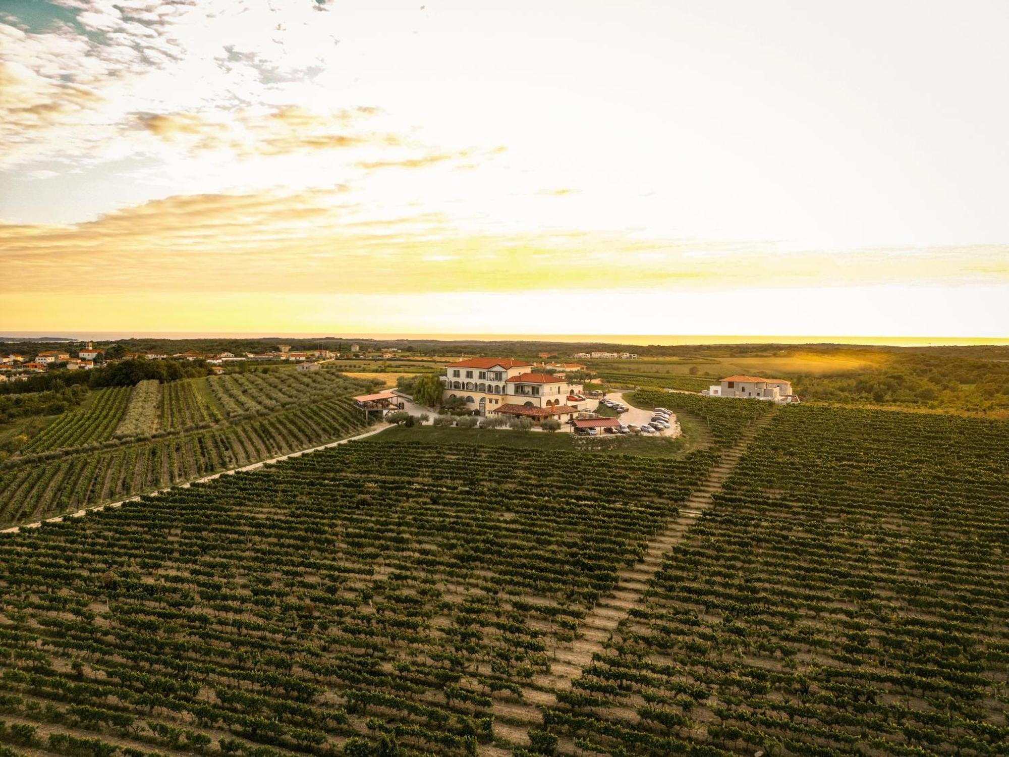 Wine Residence Cattunar Brtonigla Dış mekan fotoğraf